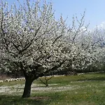 بيت للعطل Lou Souleu *