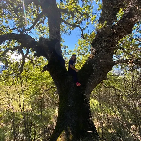 Lou Souleu * Sisteron