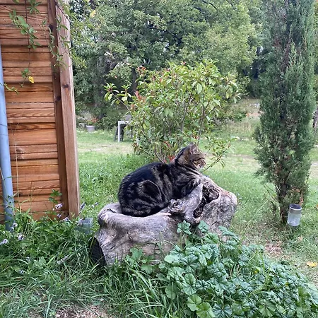 Lou Souleu Сasa de vacaciones