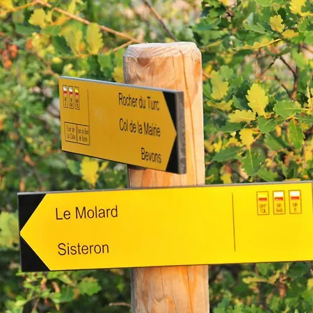 Semesterbostad Lou Souleu *