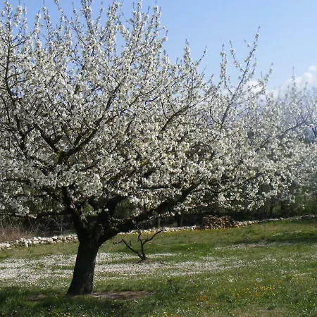 Semesterbostad Lou Souleu *