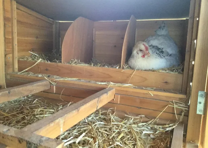 Lou Souleu 펜션 시스트롱