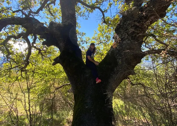 Lou Souleu * 시스트롱