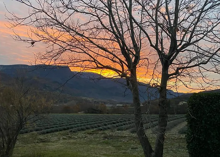 Lou Souleu * 시스트롱