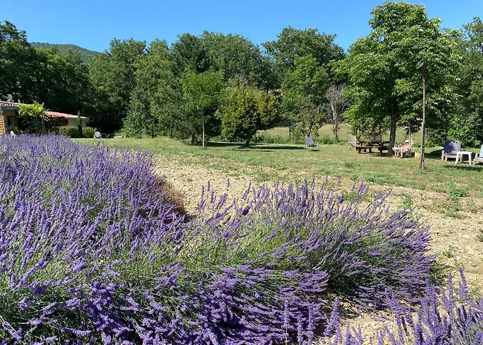 Lou Souleu 시스트롱