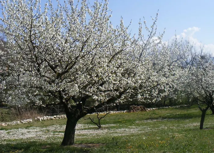 Hébergement de vacances Lou Souleu *
